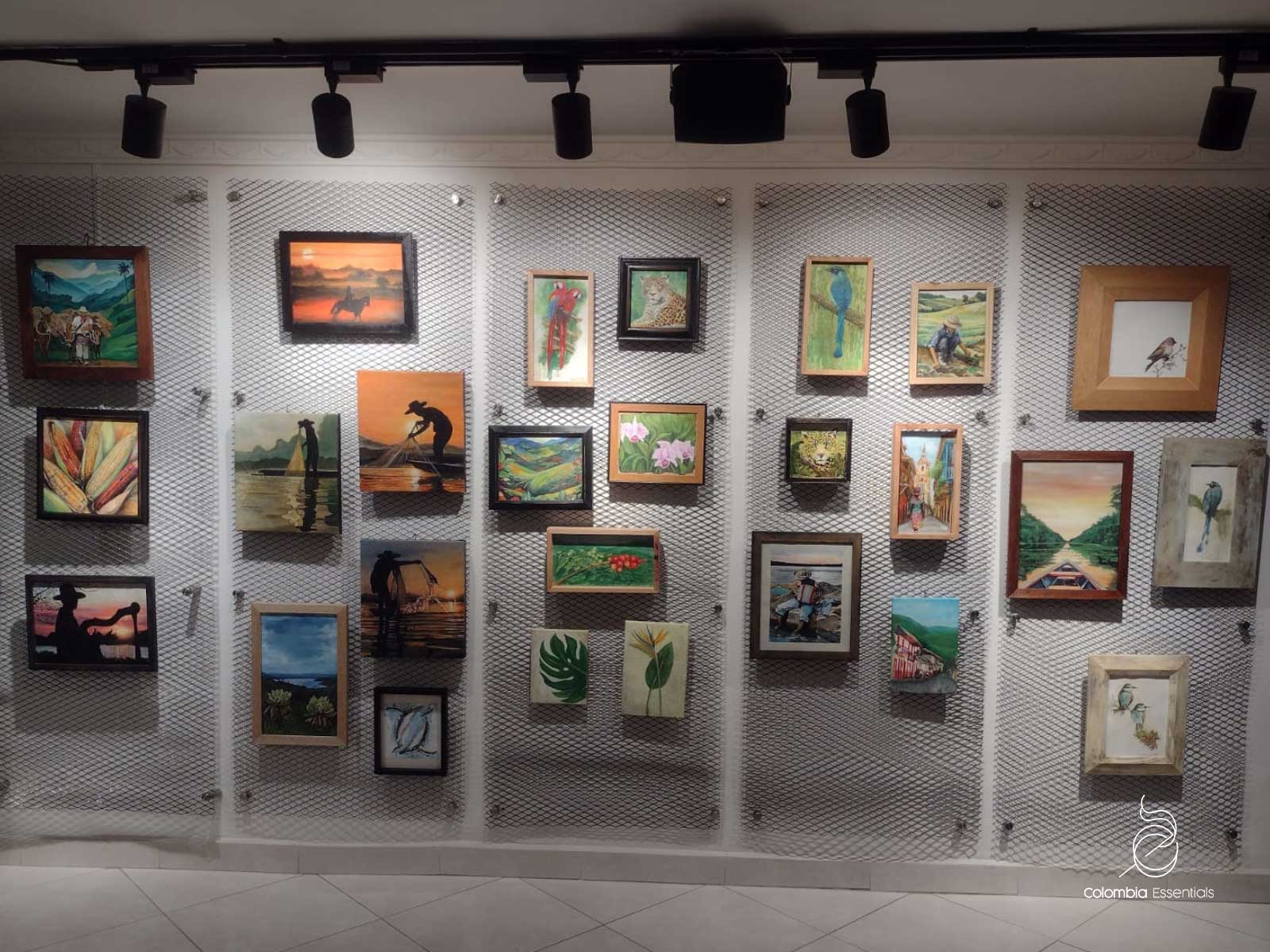2-Gallery-Colombia-Essentials 2-Gallery-Colombia-Essentials